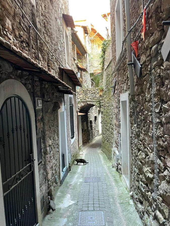 Casa Venezia In Airole, Liguria, Italy Βίλα Εξωτερικό φωτογραφία